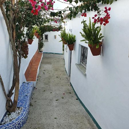Apartamento La Chanca Conil De La Frontera Exterior photo